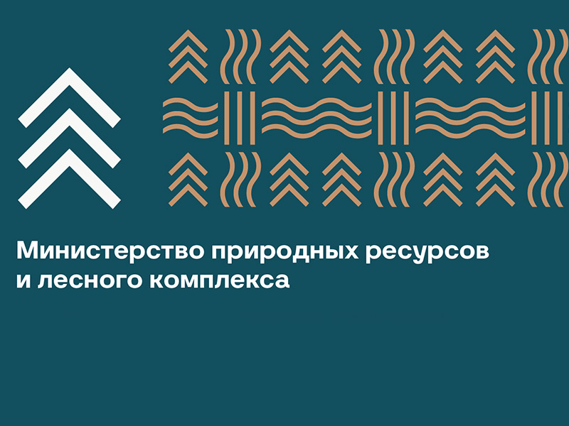 Общественное обсуждение проекта постановления &quot;Об утверждении объемов (лимитов) изъятия объектов животного мира на территории Красноярского края&quot;.