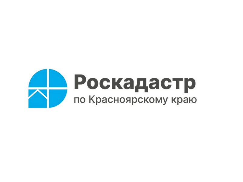 Как оформить дом по «дачной амнистии», напомнили в краевом Роскадастре.