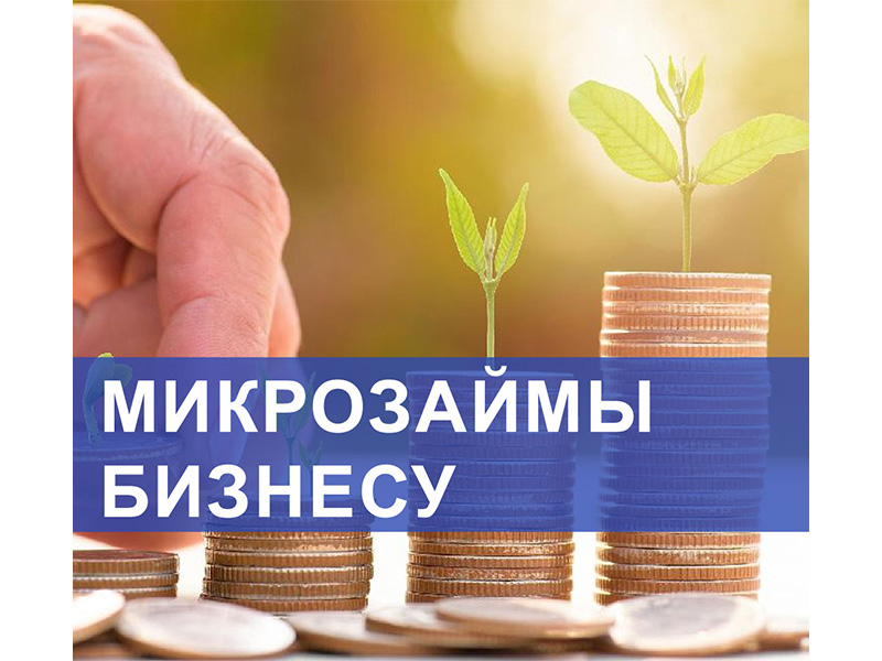 С начала года предприниматели и самозанятые края получили льготных микрозаймов на сумму более 734 млн рублей.