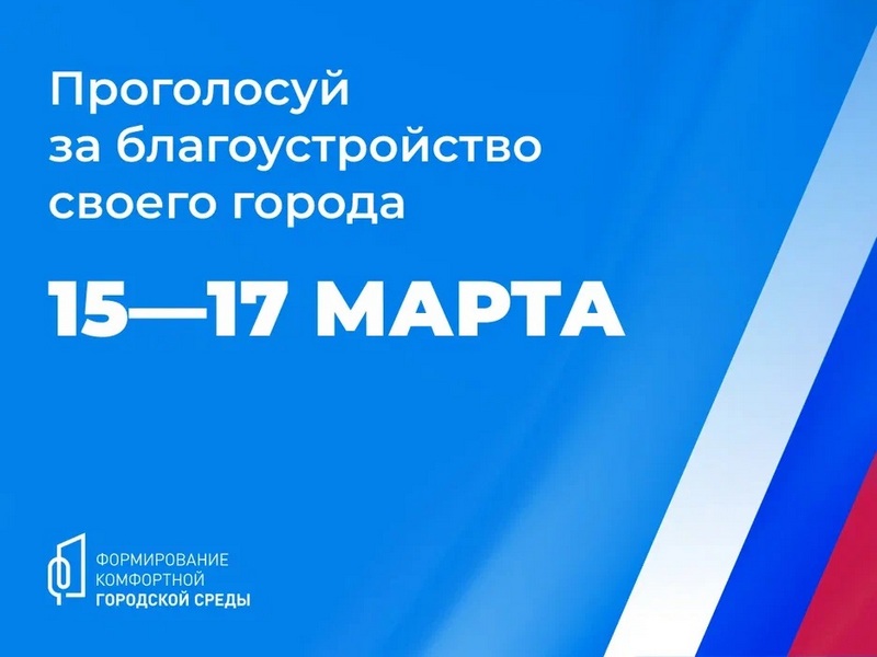 Проголосуй за благоустройство своего города 15–17 марта.