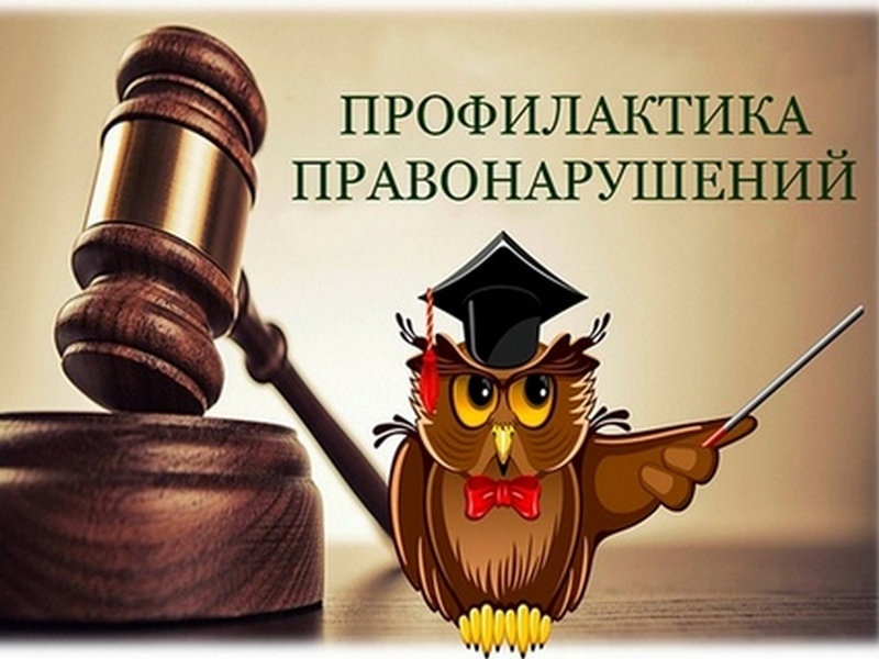 Профилактика правонарушений и укрепление общественного порядка и общественной безопасности.