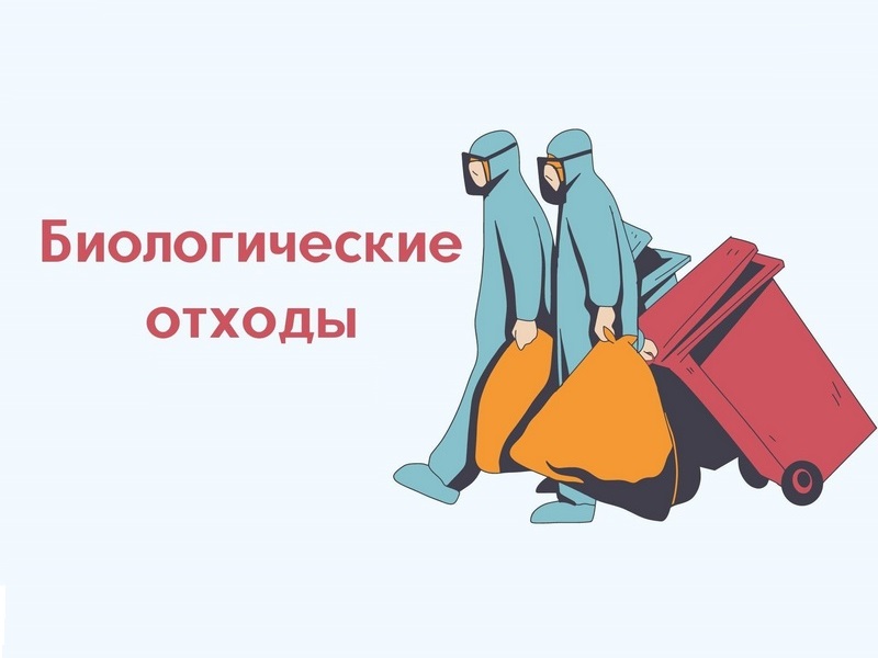 Информация о недопустимости захоронения (утилизации) биологических отходов в несанкционированных местах.