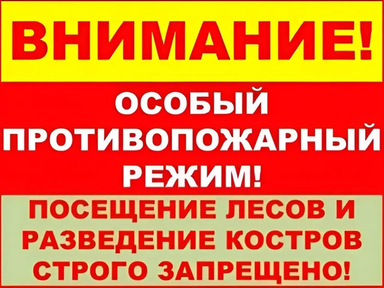 Правила пожарной безопасности в период пожароопасного сезона. Правила пожарной безопасности в период пожароопасного сезона.